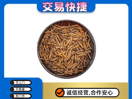临沂市临沭礼品回收虫草.jpg